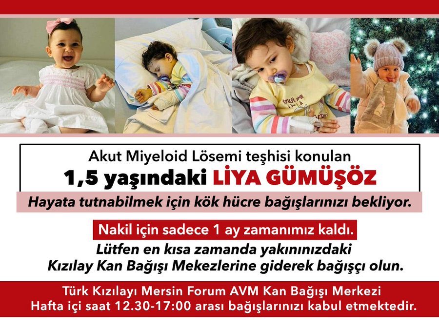 vesileolalim's tweet photo. Akut Miyeloid Lösemi teşhisi konulan Liya Gümüşöz için acil kök hücre bulunması gerekiyor.Nakil için 1 ay zaman kaldı.Lütfen RTleyerek duyurulmasına ve Liya'nın sağlığına kavuşmasına #vesileolalim .. #karaguendostumeslekieğitim #pomemsonucbekliyor #sehven #CHPbunuNedenYapıyor https://t.co/p5jkRZ2Ut5