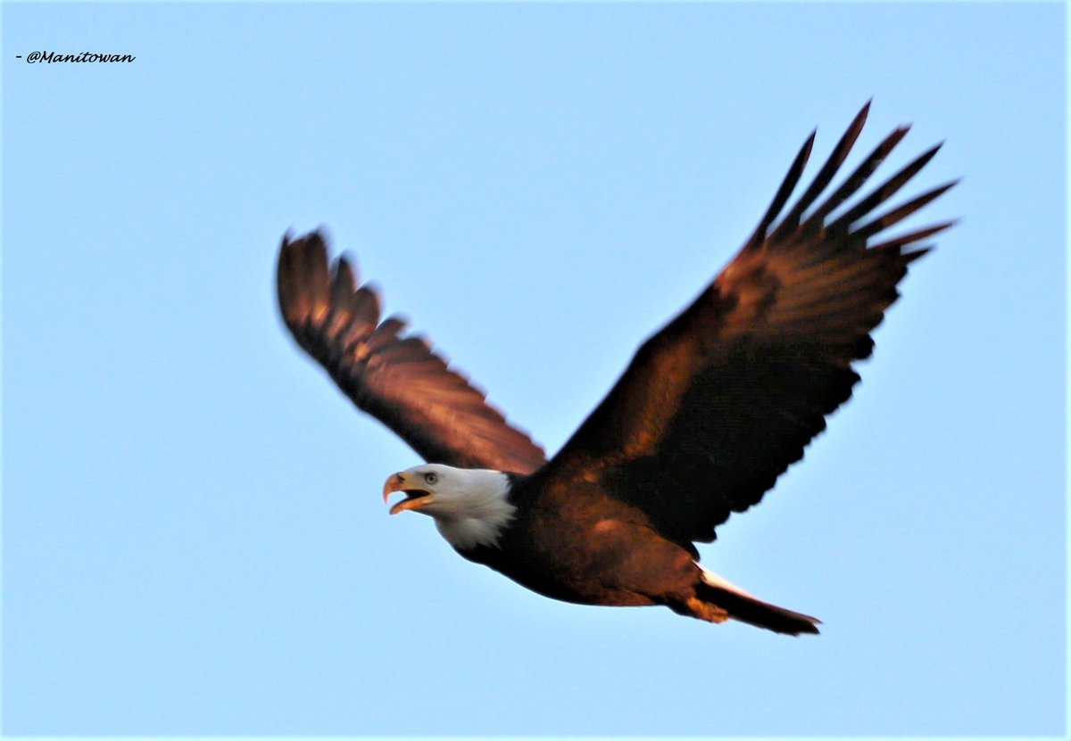 It's a #nature paradise 😀 <a href="/TourismDelta/">Tourism Delta</a>