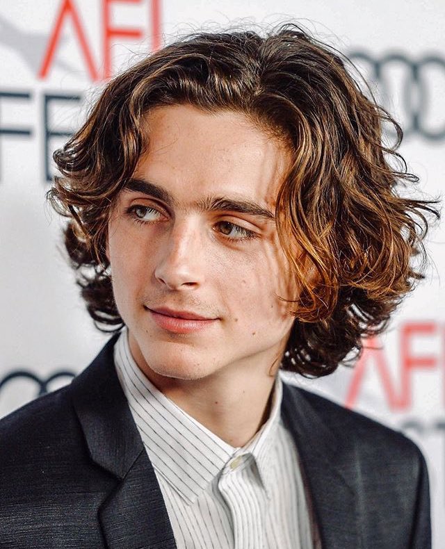 ↱ timothée chalamet memes; a thread ↲