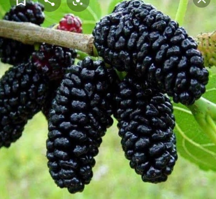 marwato99311183's tweet photo. #تكليف_صيادله_18_يا_ريس
😋😋 https://t.co/qz6OwlLkyZ