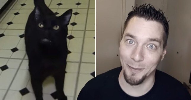 LadyWashin4547's tweet photo. Iโm extremely saddened to hear of the death of #SteveCash, of the #TalkingKitty videos on YouTube, on April 16, 2020, of death by #suicide. Steve suffered for years from #BipolarDepression. God rest his soul, and prayers and love to his family. ๐๐ป๐๐ป๐๐ป๐ญ๐ญ https://t.co/fFuEJ19mcy