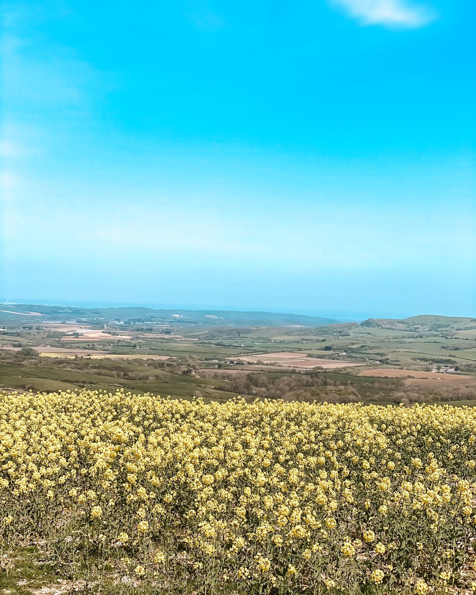 MOKU Communications tweet media