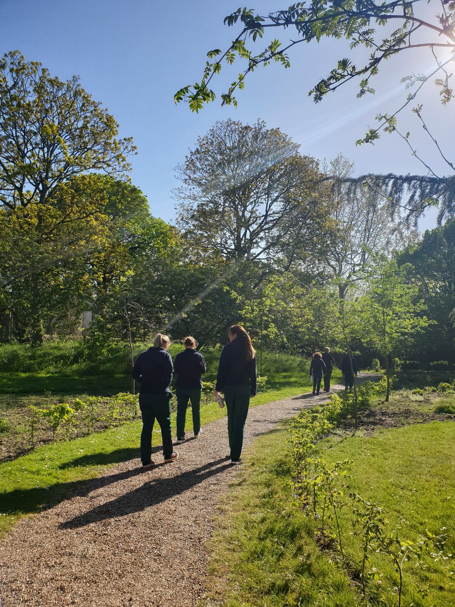 Laura Flaxman tweet media