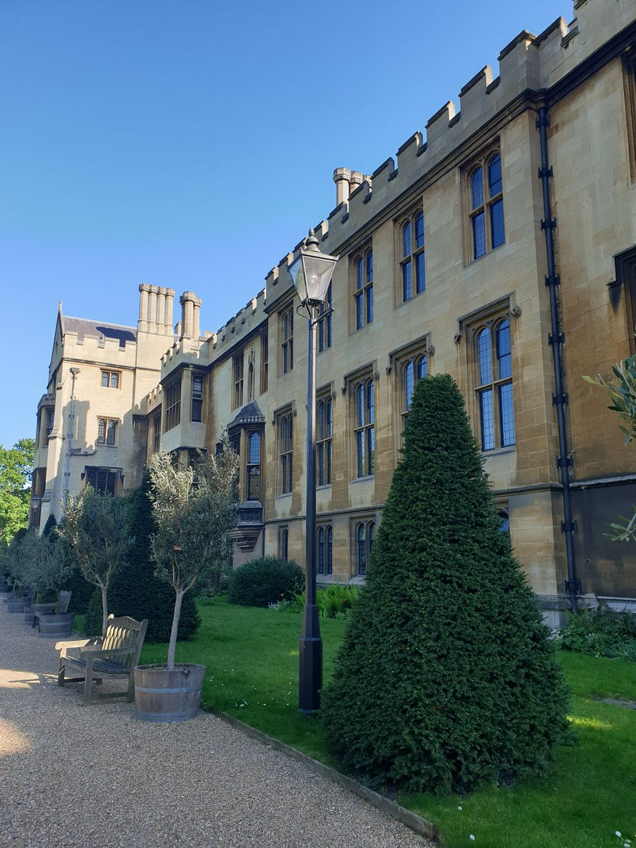 Laura Flaxman tweet media