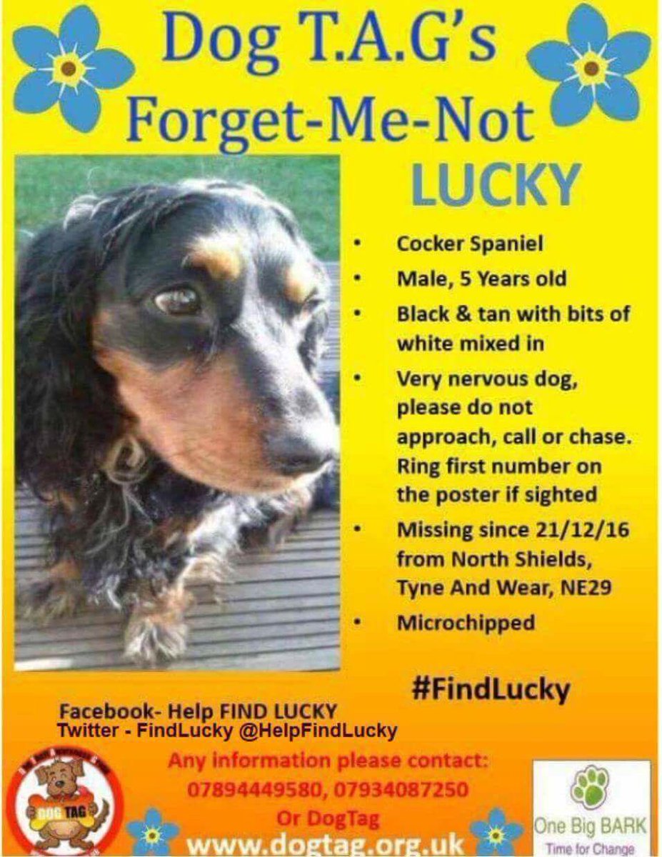 rosieDoc2's tweet image. Petition: Fern’s Law: Compulsory to scan &amp;amp; check microchips to reunite stolen dogs, cats. petition.parliament.uk/petitions/3000…

HELP US HOME PLEASE - it takes a few seconds to sign #FernsLaw #ScanMe #checkMyChip 
WE MISS OUR FAMILIES 😞🐾🐾💔

THANK YOU ☺️