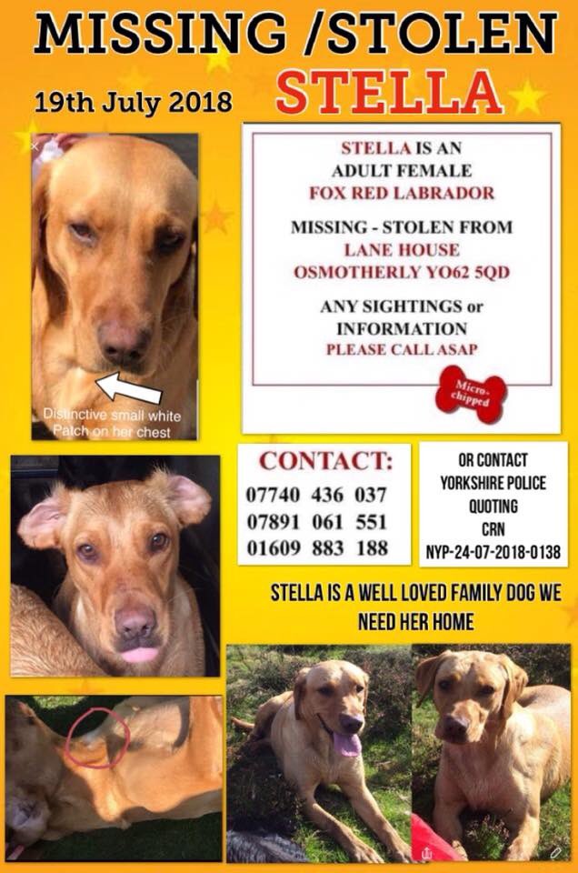 rosieDoc2's tweet image. Petition: Fern’s Law: Compulsory to scan &amp;amp; check microchips to reunite stolen dogs, cats. petition.parliament.uk/petitions/3000…

HELP US HOME PLEASE - it takes a few seconds to sign #FernsLaw #ScanMe #checkMyChip 
WE MISS OUR FAMILIES 😞🐾🐾💔

THANK YOU ☺️