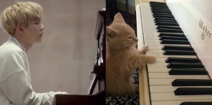 EV_jyL6XQAodmqc?format=jpg&name=small