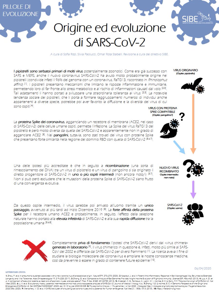 genetica molecolare umana pdf to jpg genetica molecolare umana pdf to jpg