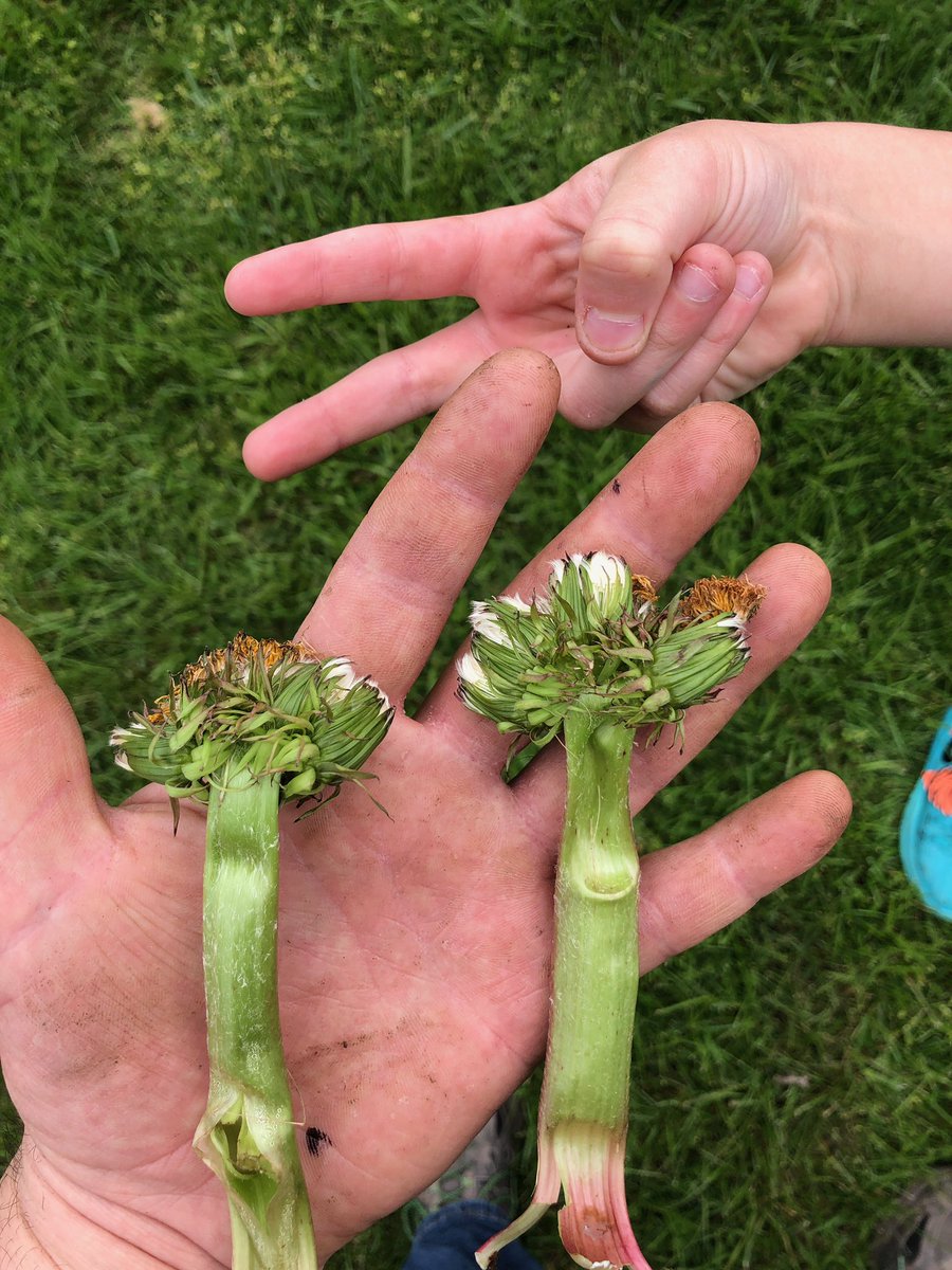 Jill Turner tweet media