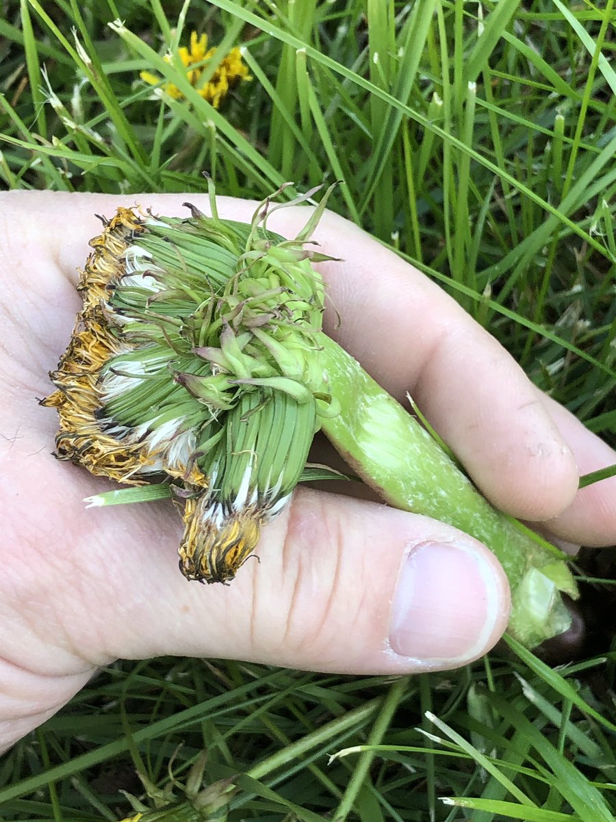 Jill Turner tweet media