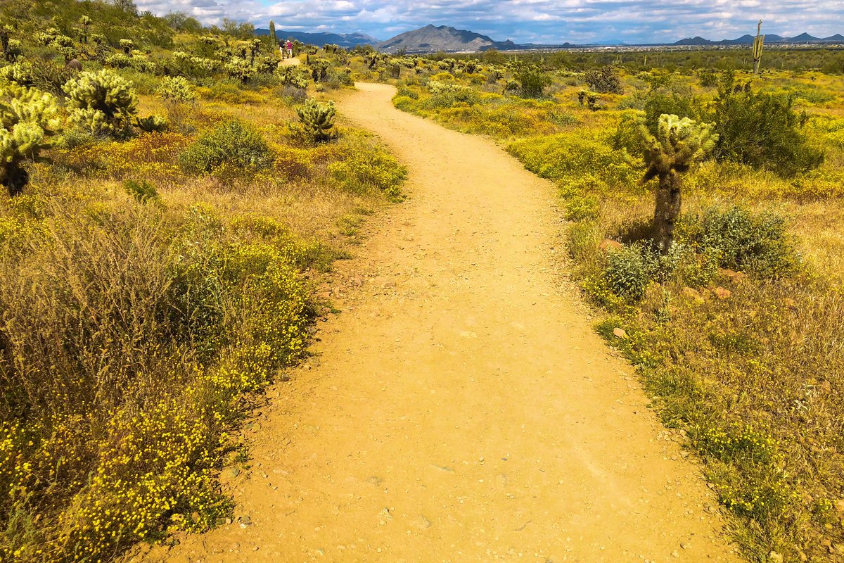 CmdrJimG's tweet photo. Not exactly a Black Flag day but it was Arizona hot today! Trail run with my Big Guy at our local Yellow Briack Trail to honor an American hero &amp; Arizona legend #PatTillman. Who else has done the #YBR2020 to represent their Session or Chapter? @FBINAAQuantico @AzFbinaa https://t.co/57xYnIvQ1j