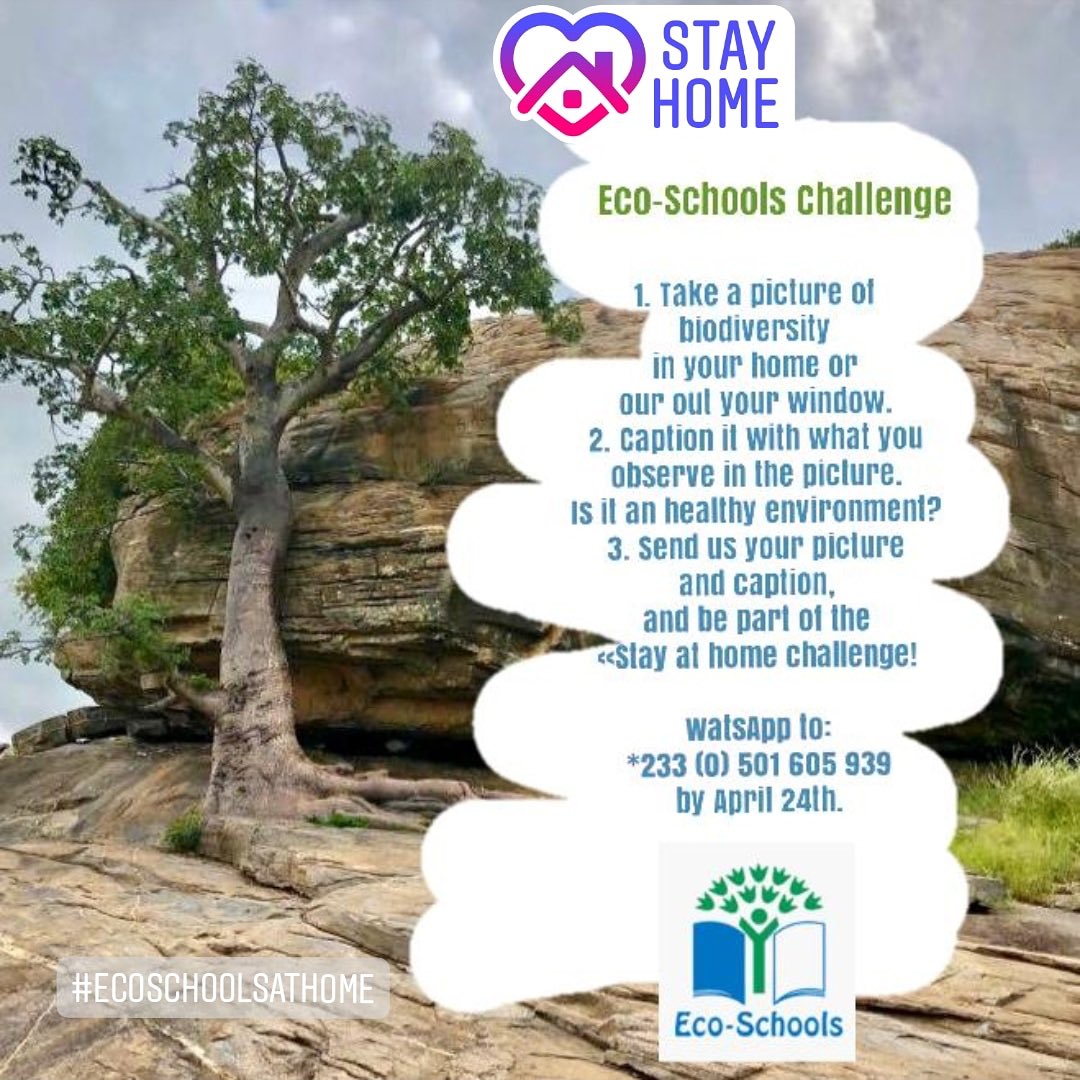 gh_eco's tweet photo. https://t.co/oSxkzQ9LKI