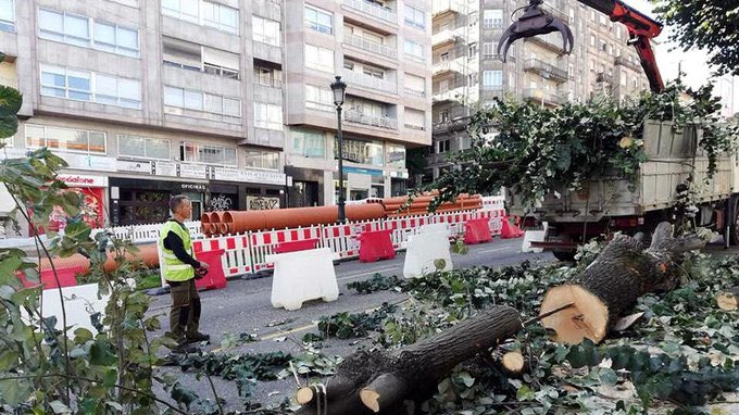 ESTADO DE ALARMA EN VIGO
El Concello empezará a talar este lunes 85 árboles en varios lugares de la ciudad olívica (de olivos)

vigoalminuto.com/2020/04/19/el-… #EstadoDeAlarma en #Vigo por <a href="/Vigoalminuto/">Vigoalminuto</a> | <a href="/Vigoblog/">Vigoblog</a> <a href="/AnaGarc92617021/">Ana Beatriz García Román</a> @ValoraNatura <a href="/arboresdalimia/">Árbores da Limia</a> <a href="/mistervigo02/">Samuel Fdez. Torre - Mr. Vigo</a> <a href="/pgsarria/">Paco  Sarria</a>