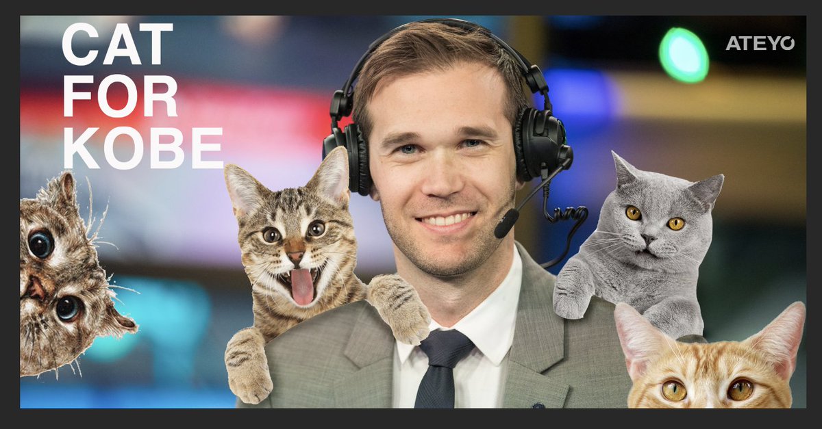 If this tweet gets a 1,000 RTs we will deliver a cat to @esports_kobe @TravisGafford does not approve of this ad #CATFORKOBE