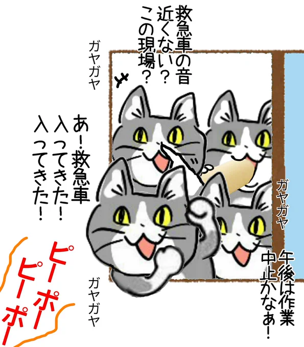 校庭に犬が入ってきたときの小学生みたいな反応するんじゃない #現場猫 