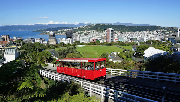 GBS 🇳🇿 tweet media