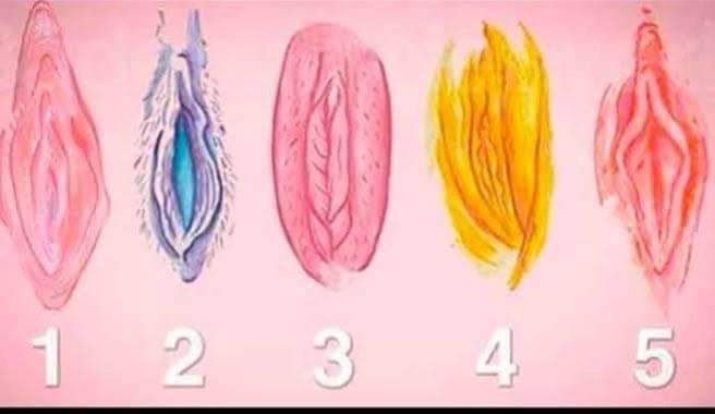 Buenas tardes muchachas a ver c&oacute;mo la tienen ustedes??? https://t.co/LVWKSqTbIT