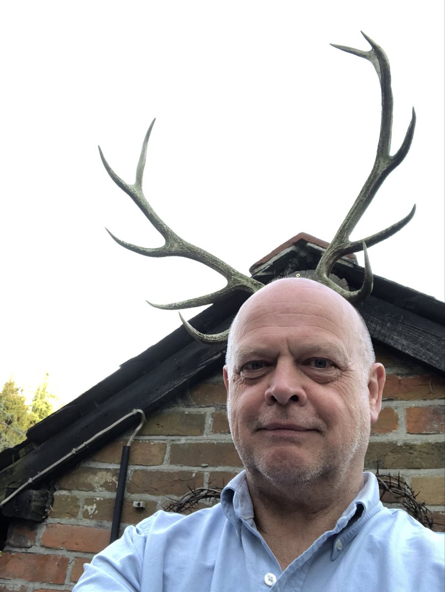 wessexwildlife's tweet photo. My Easter Bonnet. #TheArchers #ArchersEasterParade #AntlerBoy ⁦@kate_crichton⁩ ⁦@MuffetRBoyle⁩ ⁦@HendryTitchner⁩ ⁦@carolJhedges⁩ https://t.co/JnDoMBP4tD