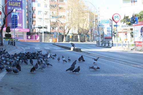 Yasağın ikinci gününde Darıca'daydık!