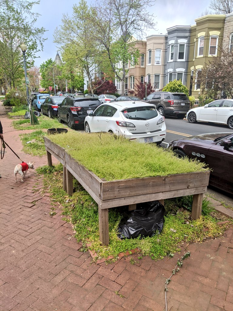 When your neighbor is *really* into gardening...