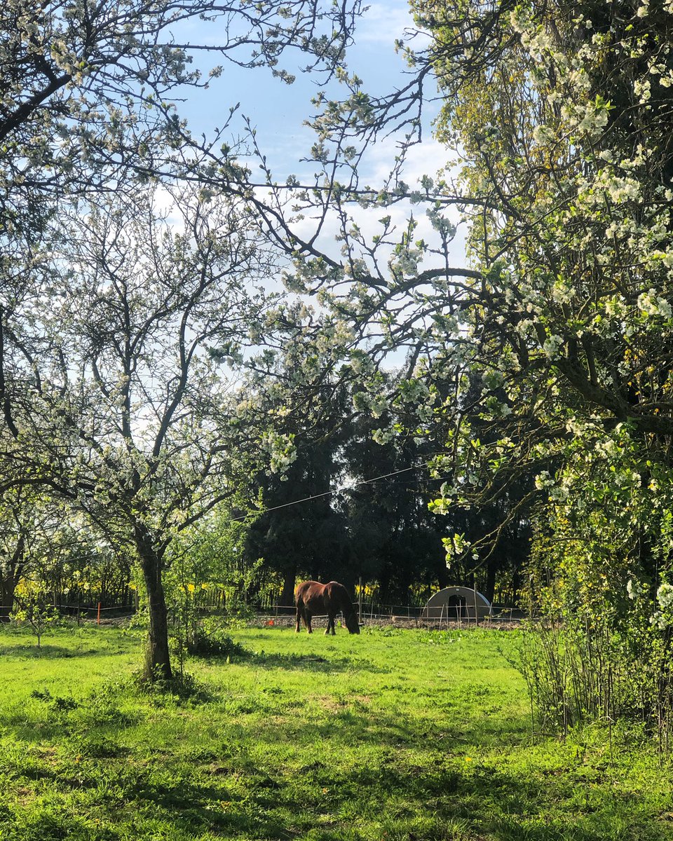 Closed now till Tuesday 11-4 for distanced shopping. You can also get a delivery to your door or arrange a packing service to pick up via our website thegoodsshed.co.uk HUGE thank you to the team for coming to work and keeping TGS food flowing. Restful Easter all x
