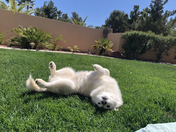 I just wanna be this happy https://t.co/aKbMLlwxlk<a href="/tag/newprofilepic"class="tags"><span>#newprofilepic</span></a>