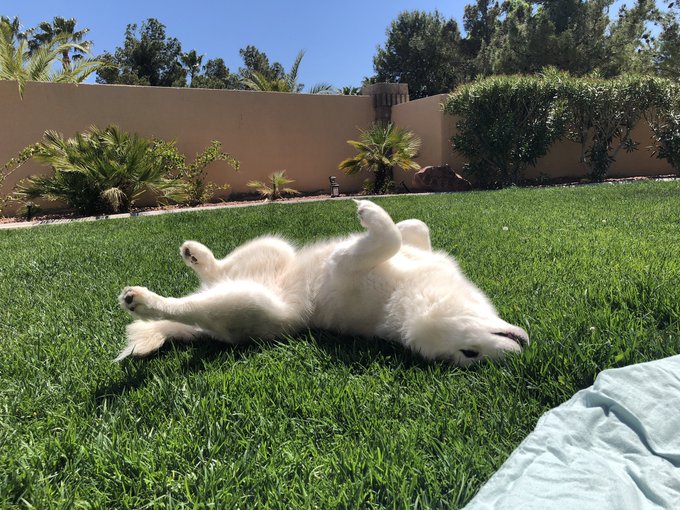 I just wanna be this happy https://t.co/aKbMLlwxlk<a href="/tag/newprofilepic"class="tags"><span>#newprofilepic</span></a>