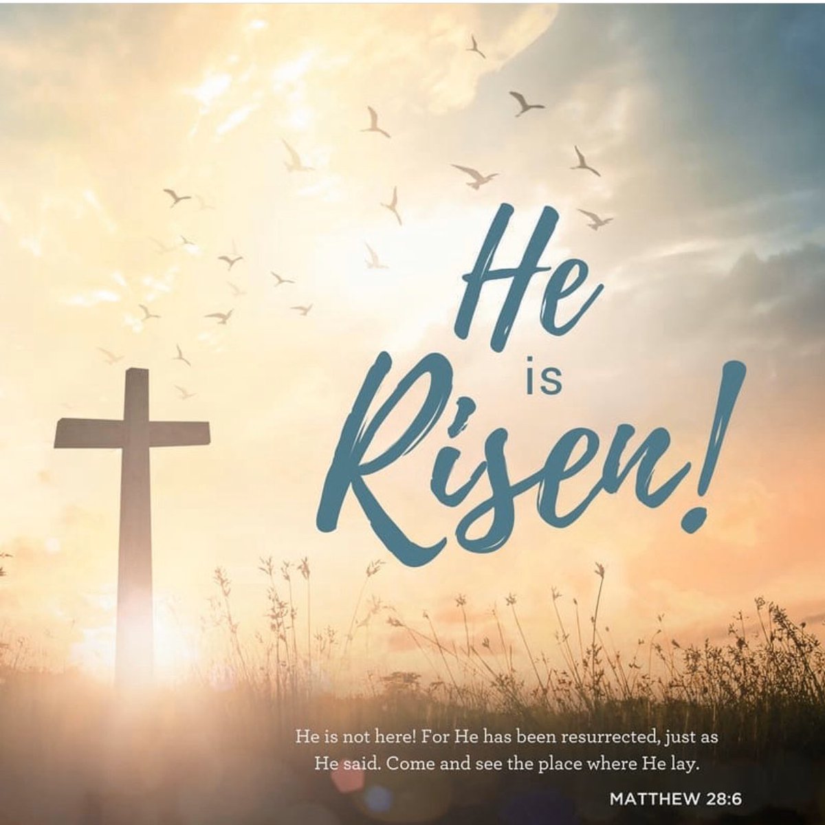 stevelaud18's tweet photo. Happy Easter! Let us remember the real reason for the season. God bless, stay safe and healthy! #EasterSunday https://t.co/FPhNVjw7LK