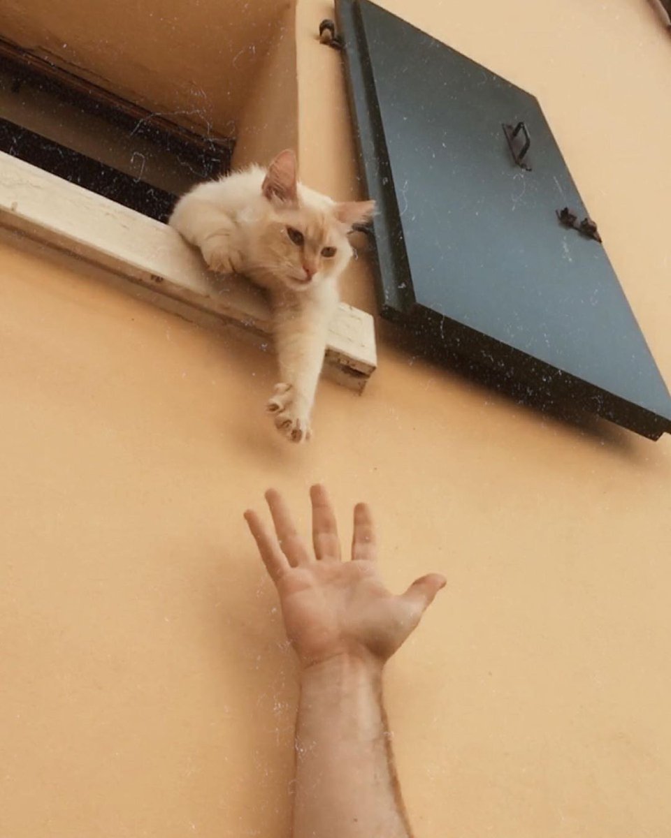 emre (@keyifpezevngi) on Twitter photo 