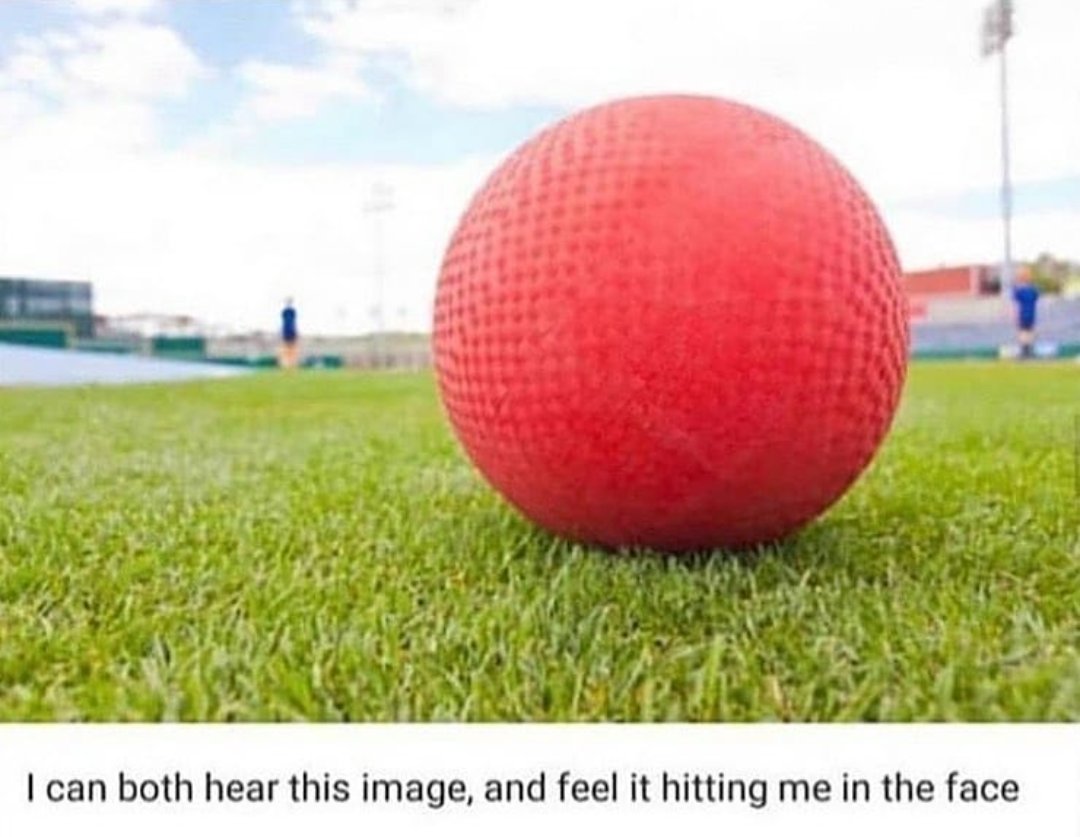 This goes out to everyone missing school right now.

Also the smell. You can smell this too