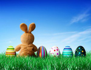 NoraMacias_MCE's tweet image. Wishing our Pirate Community a Happy Easter 🐣🐇! #TeamSISD #LearningTakesFlight ✈️
