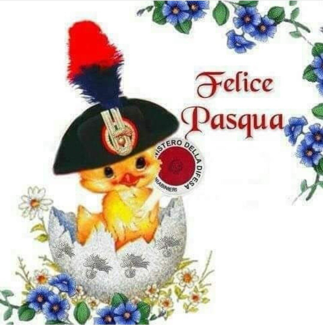 armandorolla's tweet photo. https://t.co/CpiuBjcOw9