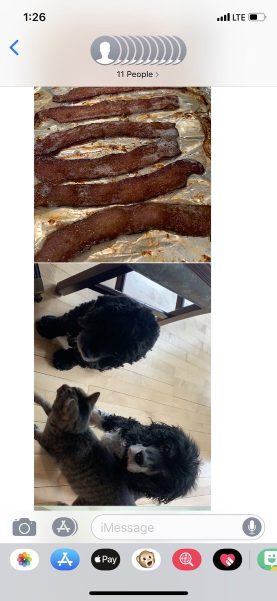 Update: there’s bacon & doggos