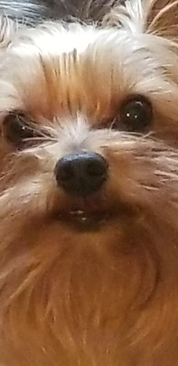 mazurek_sam's tweet photo. He watches https://t.co/8bUpLcAx0o