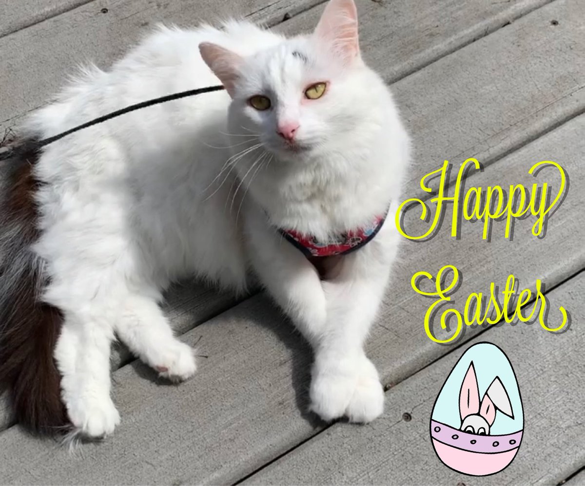 luciagua's tweet image. 