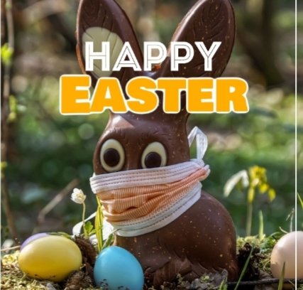 Bo Corona tweet media