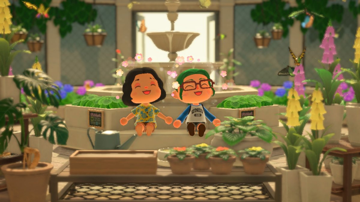 Svere_C's tweet photo. the turtle's name is Cake #AnimalCrossing #ACNH #NintendoSwitch https://t.co/H6hgfLa40W