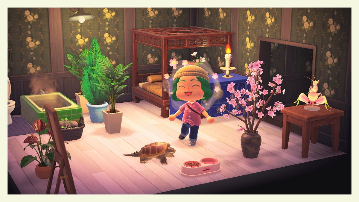 Svere_C's tweet photo. the turtle's name is Cake #AnimalCrossing #ACNH #NintendoSwitch https://t.co/H6hgfLa40W