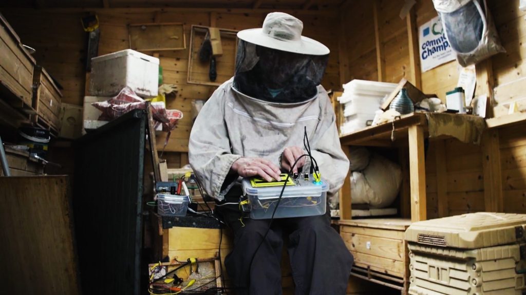 muteradio_com's tweet photo. Une news piquante ! => Un apiculteur sample ses abeilles pour produire de la musique électronique https://t.co/RmMPGgyMtB https://t.co/valuvumzBI