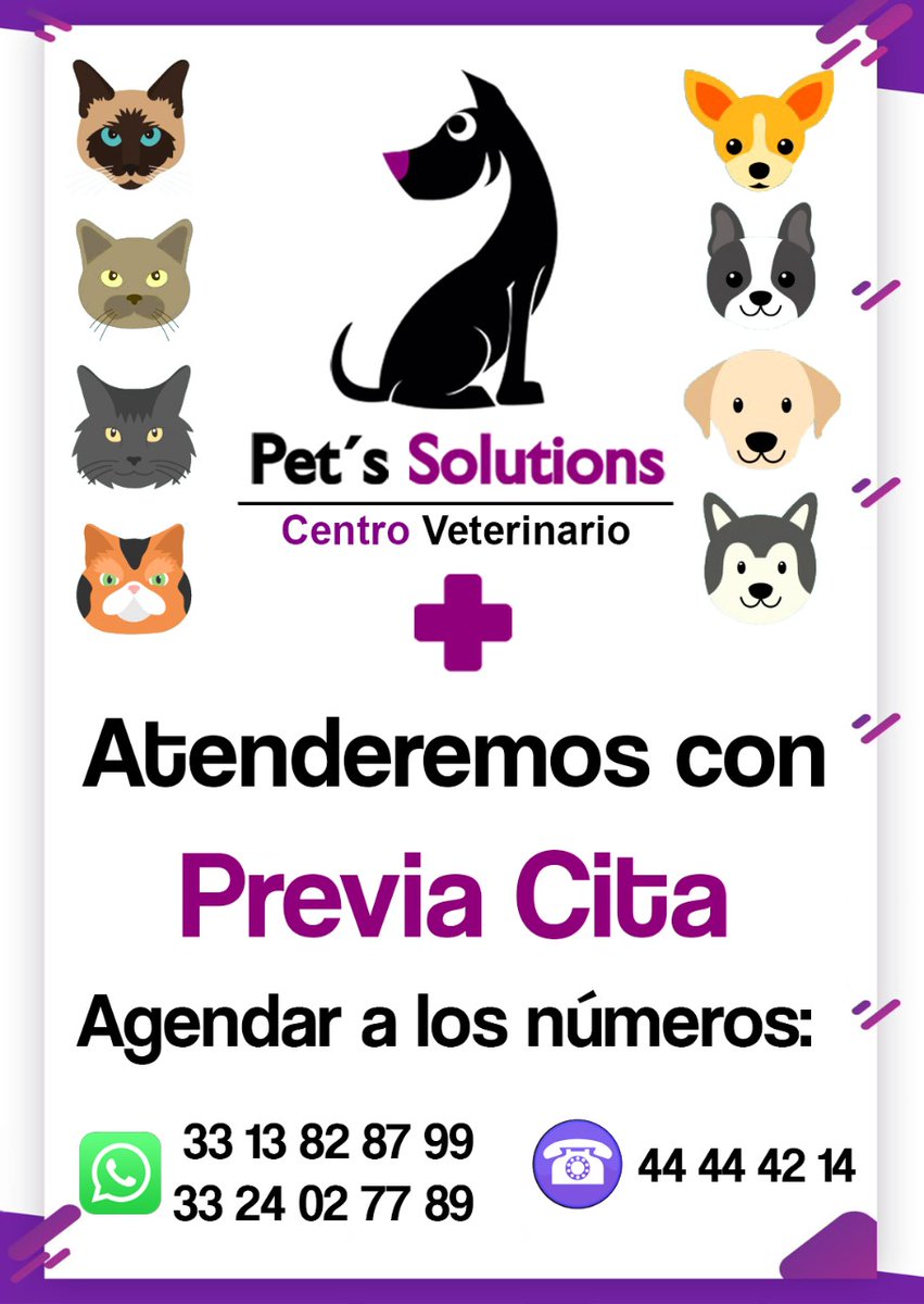 Pet' Solutions Vet tweet media