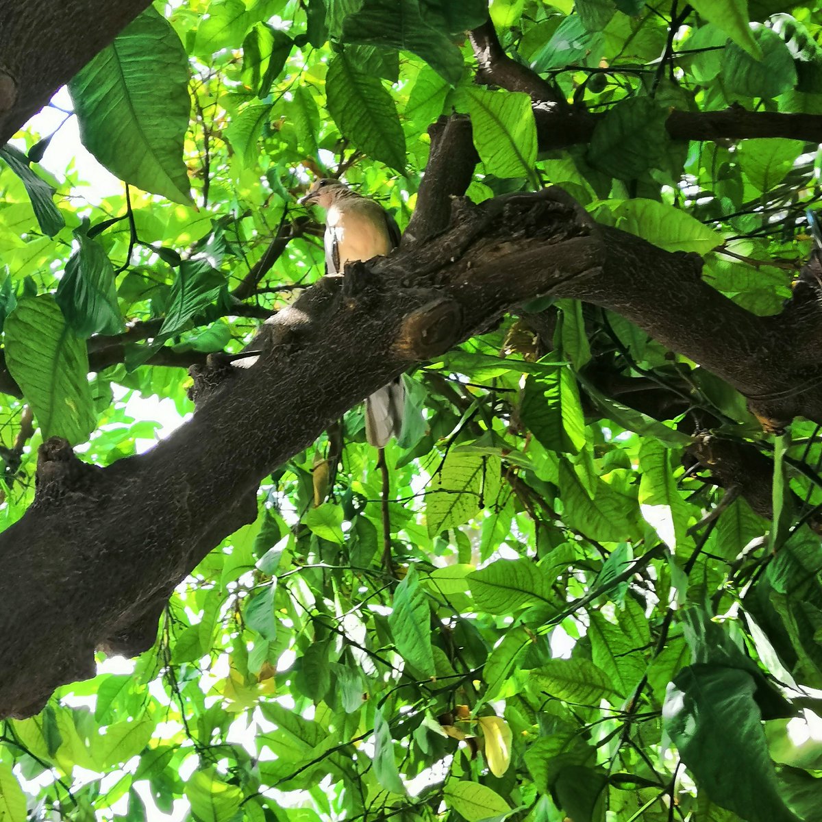 #صورة_ملف_شخصي_جديدة