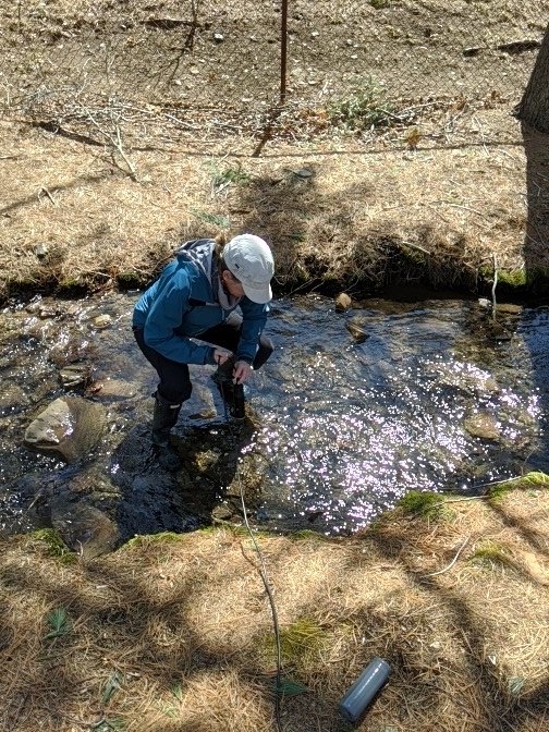 DrRob_Thacker's tweet image. Like a number of other scientists @LM_Campbell and I are doing a project in "our backyard." 💦 quality... Here she is taking readings... I'll let her (the expert) comment on findings so far, but today was baseline. #backyardscience