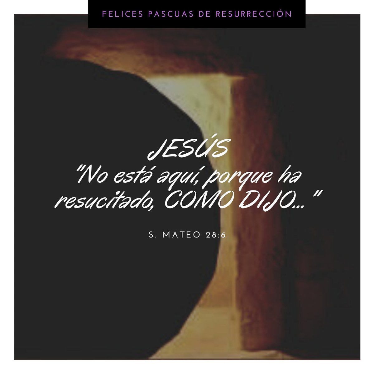 CupertinoTur's tweet image. #FelicesPascuas #Pascuas
#QuedateEnCasa #TeAcompañamos #YoMeQuedoenEnCasa
#Resusito #Jesus #Amor
