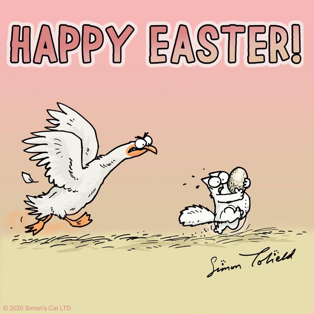 GIUSI MUSUMARRA tweet media