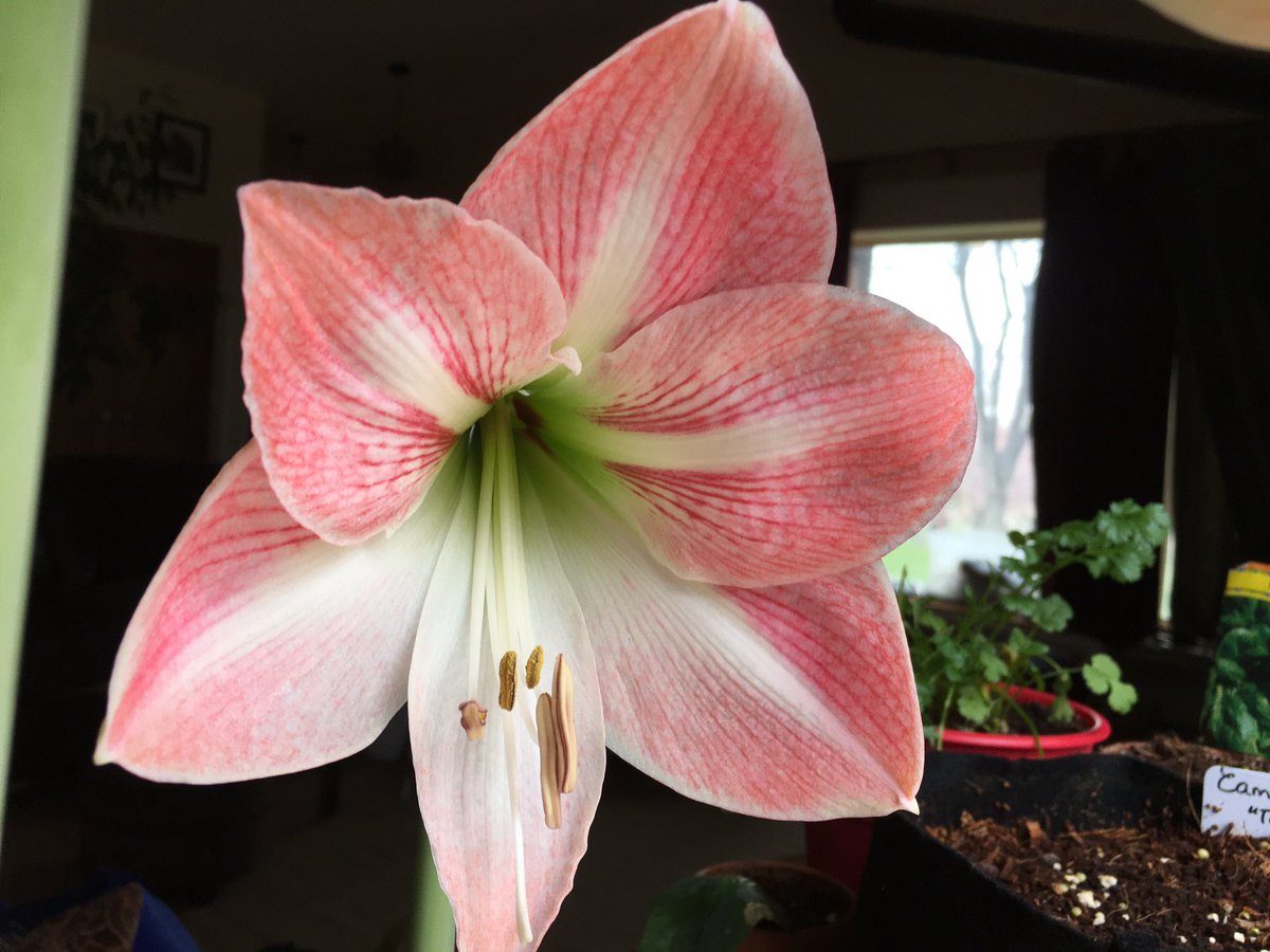 Happy Easter everyone.