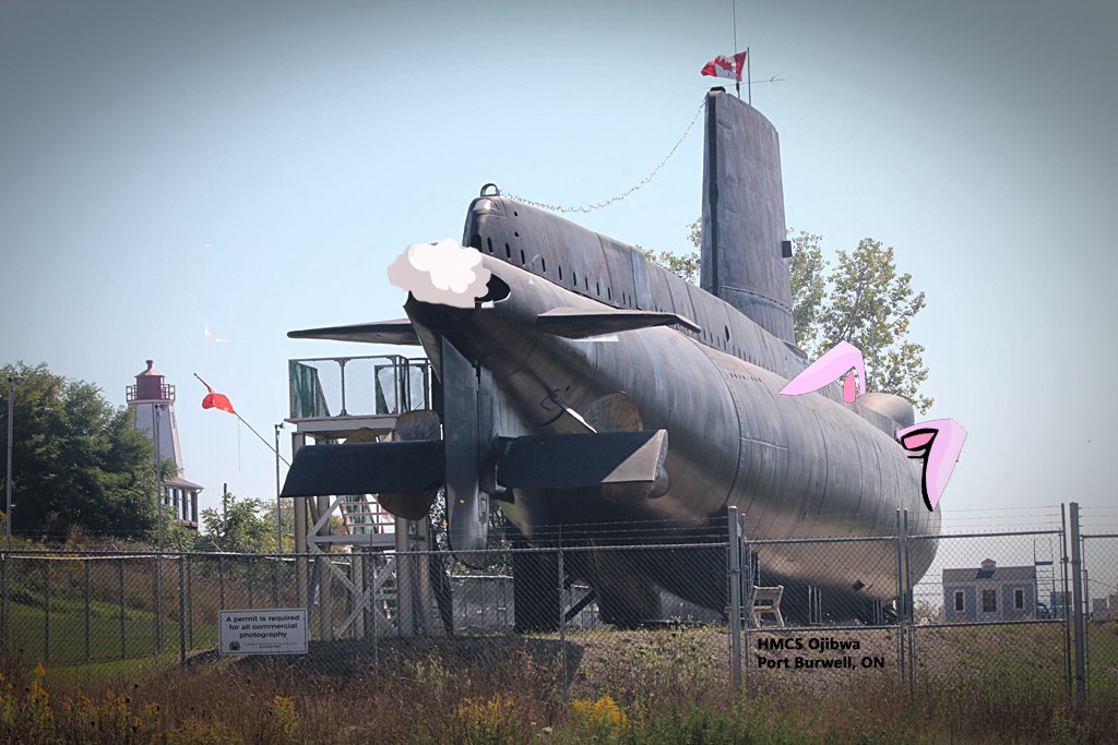 Museum Naval History tweet media