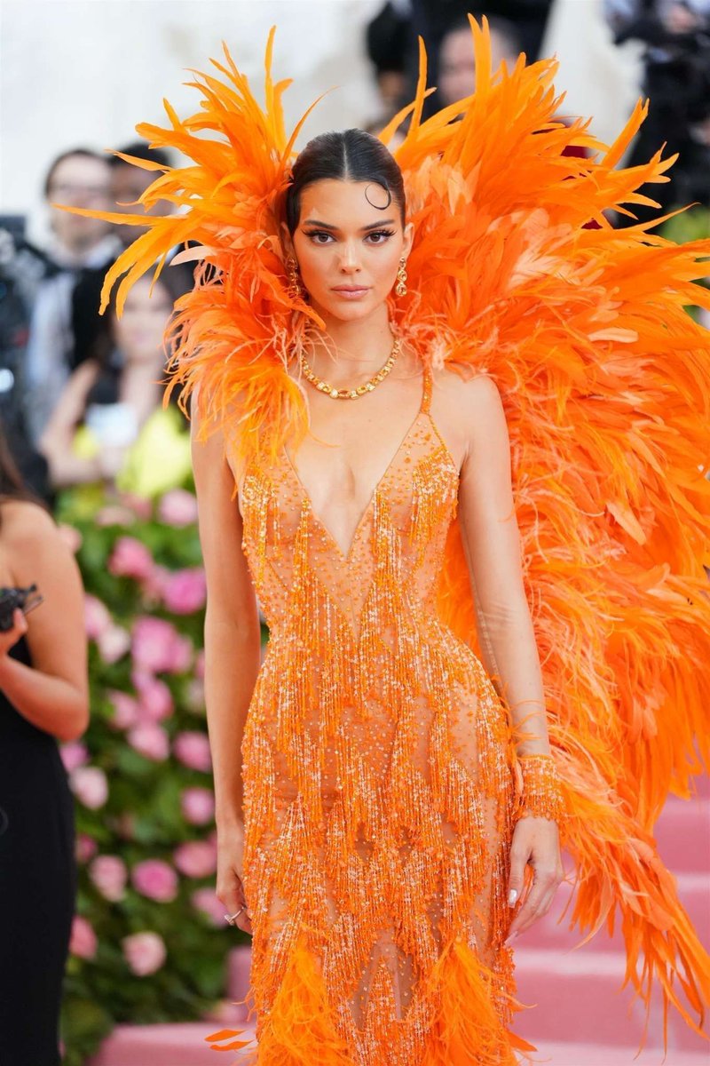 12. Kendall Jenner came to turn heads in this massive orange feathered  @versace dress. The feathers look a lot like the tubular basidiocarps of the coral fungus Clavaria fragilis! How cool would it be to make a dress out of mushrooms!