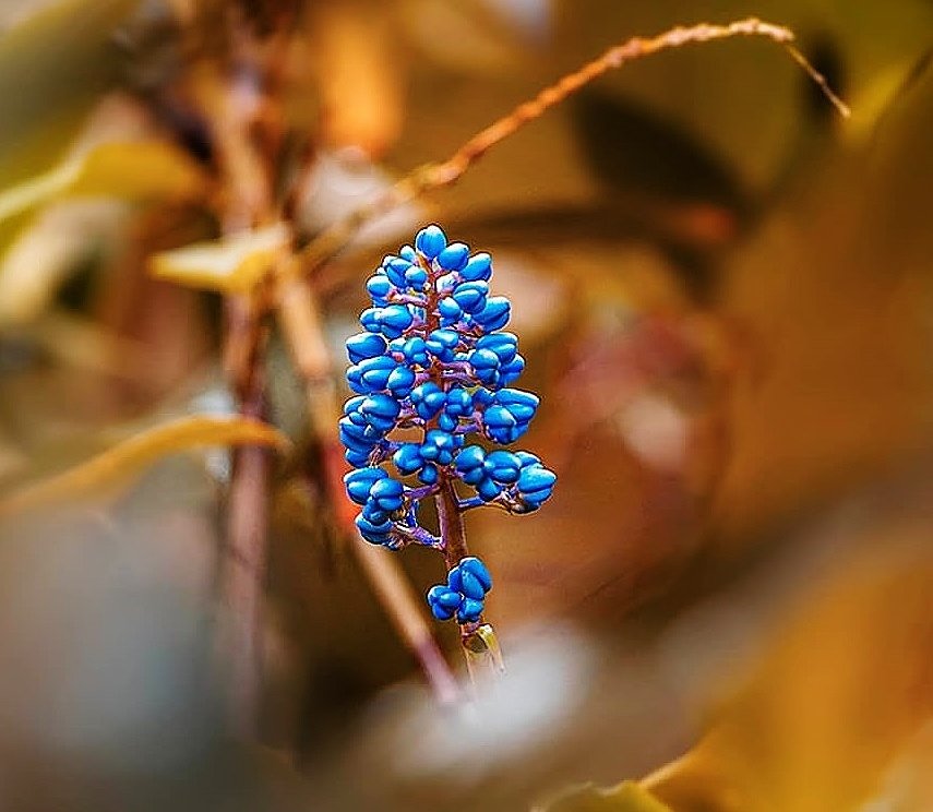 미안하다
사과하면 받아주세요

그도
그 말하기 까지 힘들었을텐데
거절 당하면 많이 속상할거예요

어떤 잘못을 했든
왠만하면 용서해 주세요

그렇지 않으면
그도 불편하고
나도 불편하잖아요

잘못을 하고도
사과하지 않는 사람도 많은데
그런 사람보단 낫잖아요