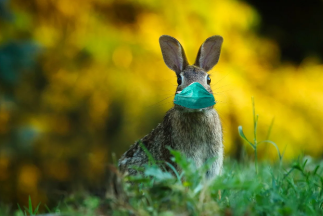 What are you doing in #quarantine?