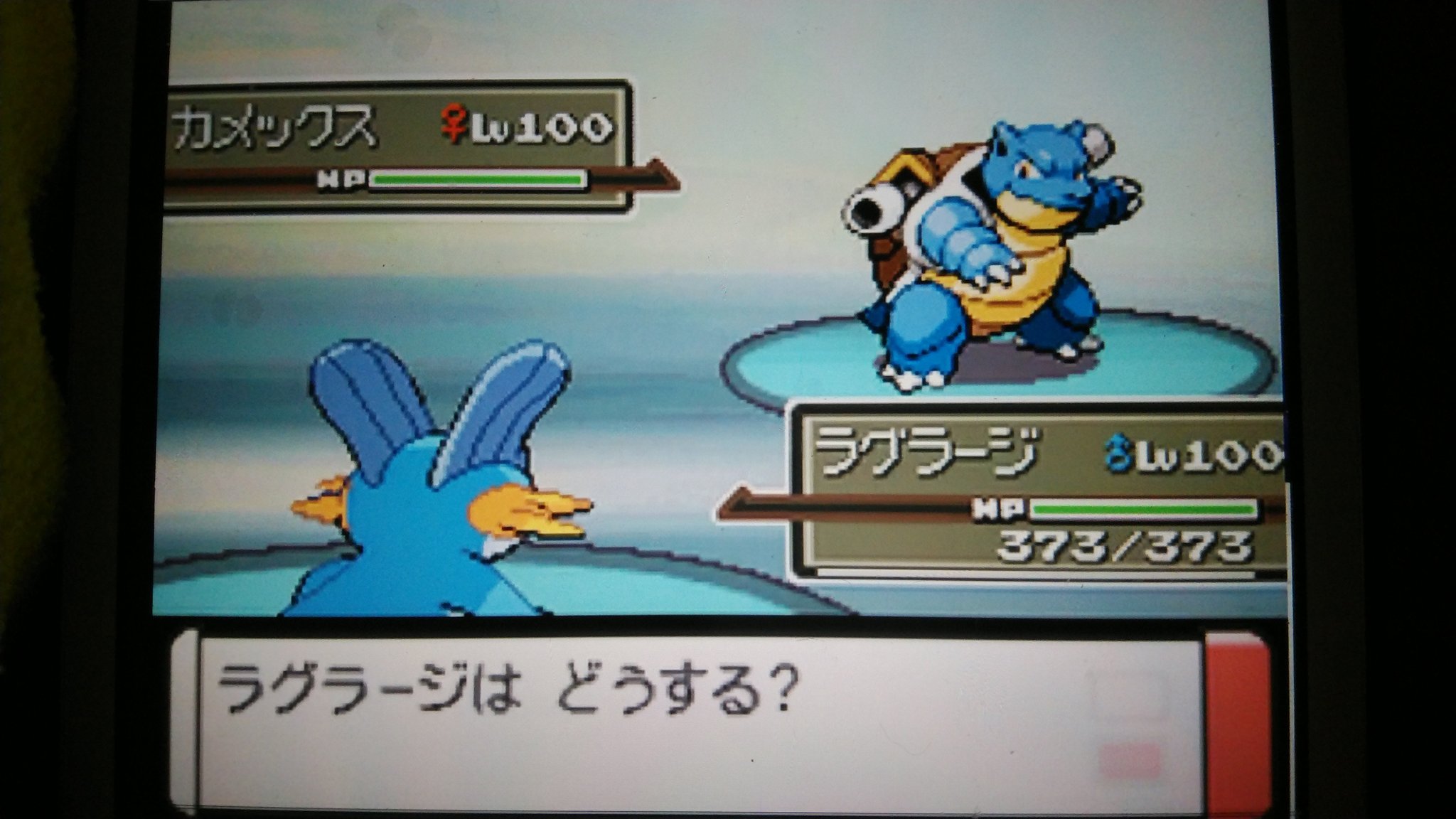 キルシュトルテ Kirushutorute T Twitter